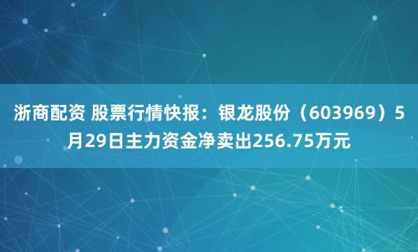 浙商配资 股票行情快报：银龙股份（603969）5月29日主力资金净卖出256.75万元