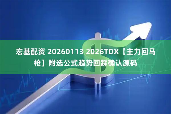 宏基配资 20260113 2026TDX【主力回马枪】附选公式趋势回踩确认源码