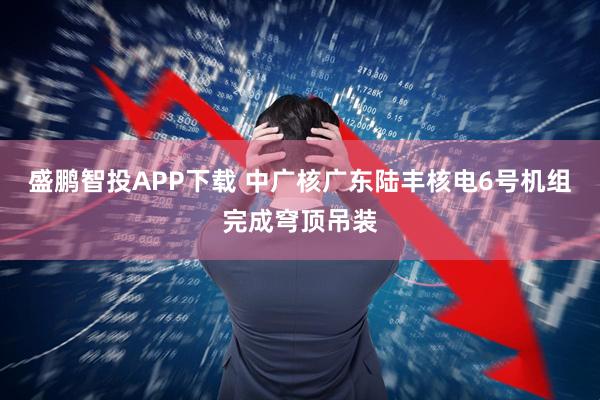 盛鹏智投APP下载 中广核广东陆丰核电6号机组完成穹顶吊装