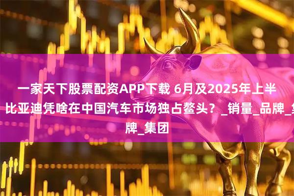 一家天下股票配资APP下载 6月及2025年上半年！比亚迪凭啥在中国汽车市场独占鳌头？_销量_品牌_集团